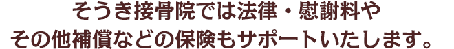 そうき接骨院では法律・慰謝料やその他補償などの保険もサポートいたします。