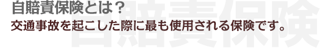 自賠責保険とは？