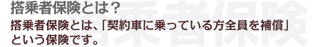 搭乗者保険とは、「契約車に乗っている方全員を補償」という保険です。