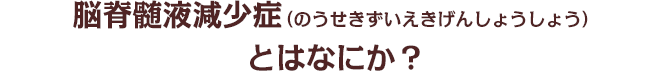 脳脊髄液減少症（のうせきずいえきげんしょうしょう）とはなにか？